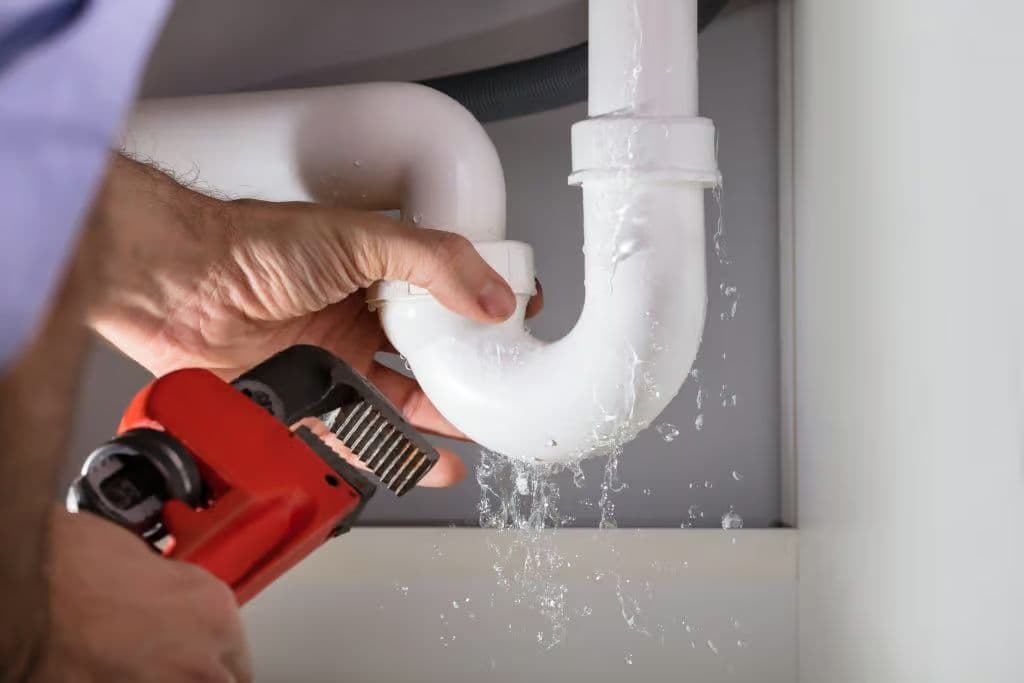 WATER LEAKAGE DETECTION AND REPAIR