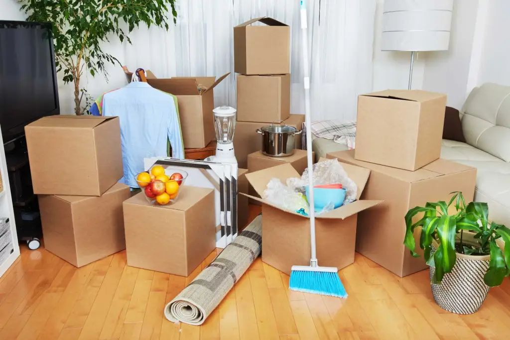 Spring Cleaning Services